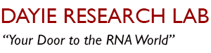 Dayie Research Lab
