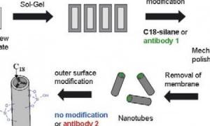 nanotube synthesis and functionalization