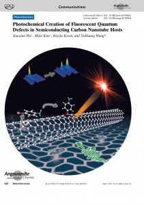 cover-frontispiece-AngewChem2018-Wu-s