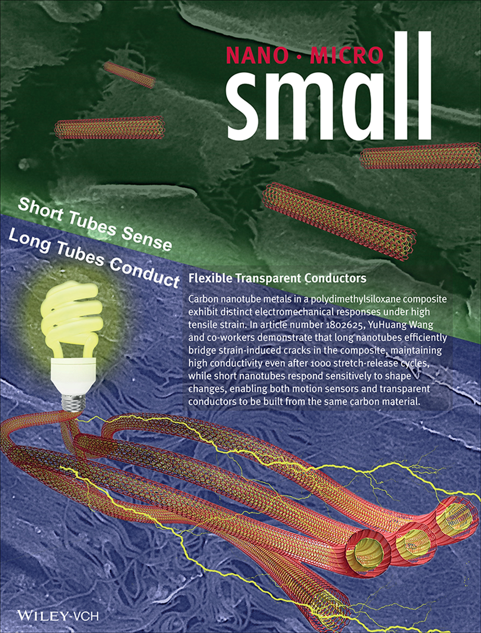 smll201870174-gra-0001-m